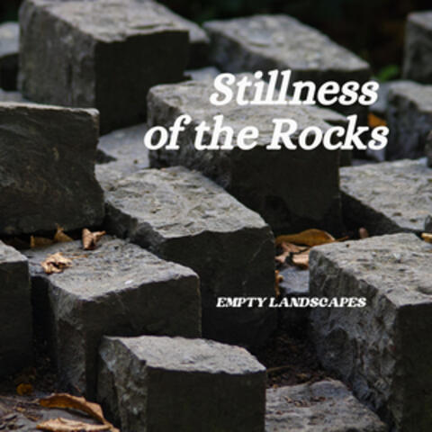 Stillness of the Rocks