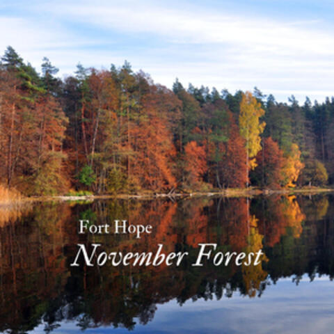 November Forest