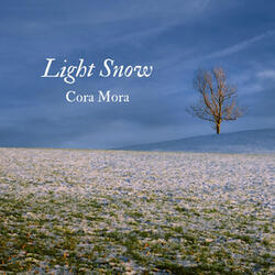 Light Snow