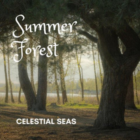Summer Forest