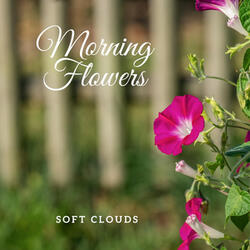 Morning Flowers