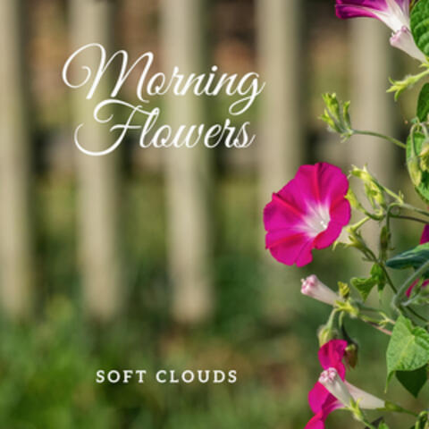 Morning Flowers
