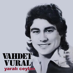 Yaralı Ceylan