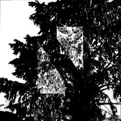 Ruminate 12: Searching