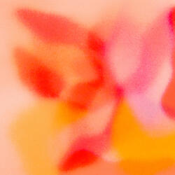 More_time_1