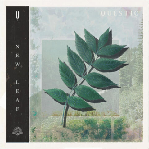 New Leaf