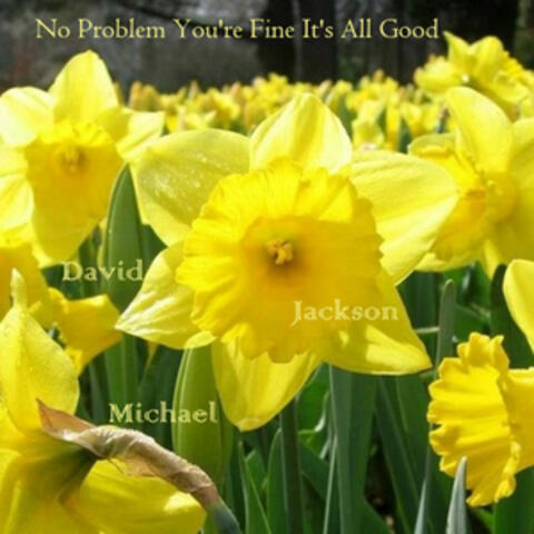 No Problem You're Fine It's All Good