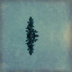 Ashes And Sparks