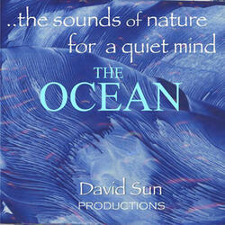 The Ocean