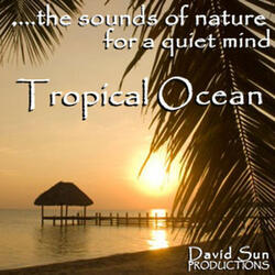 Tropical Ocean