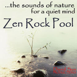Zen Rock Pool