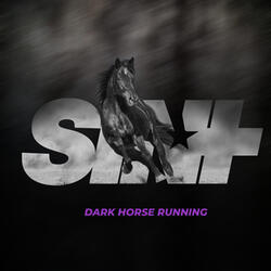 Dark Horse Running