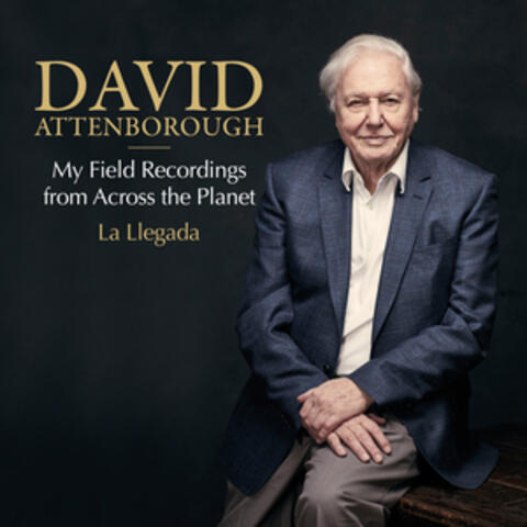 La Llegada: My Field Recordings from Across the Planet