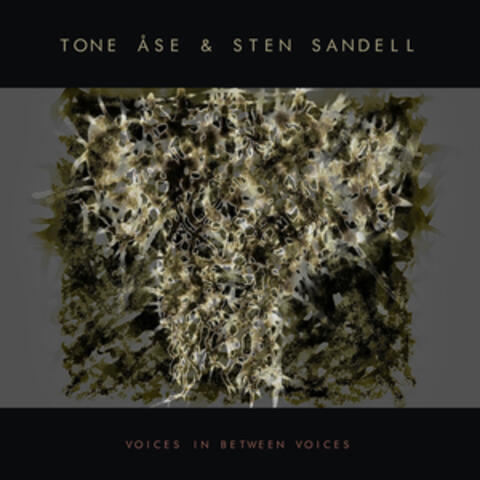 Voices in Between Voices