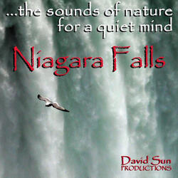 Niagara Falls