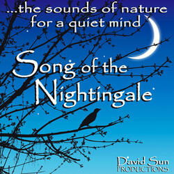Song of the Nightingale