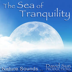 The Sea of Tranquility