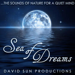 Sea of Dreams