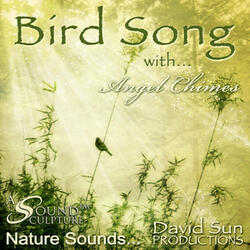Bird Song with Angel Chimes (A Sound Sculpture)
