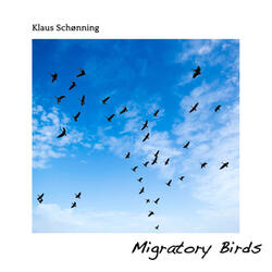 Murmurations Over The Marshlands