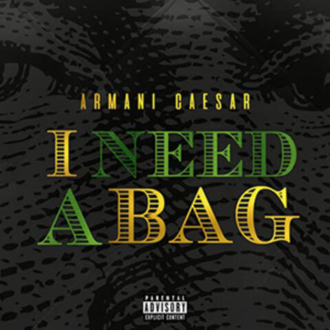 I Need a Bag