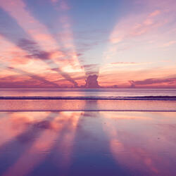 Awakened