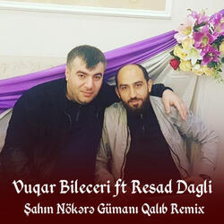Şahin Nökərə Gümanı Qalıb