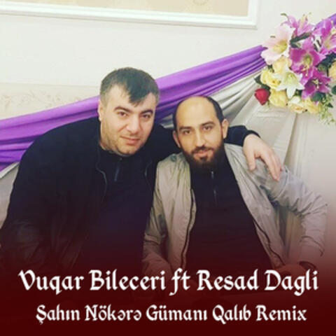 Şahin Nökərə Gümanı Qalıb