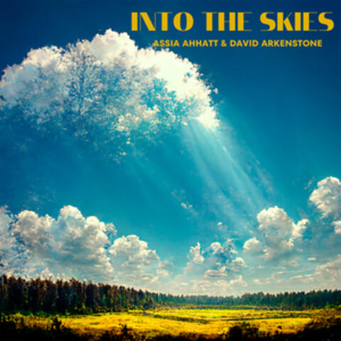 Into The Skies