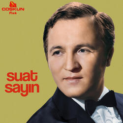 Sevmeseydim Keşke Seni