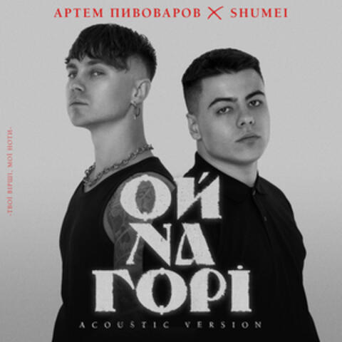 Ой на горі