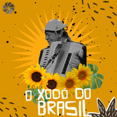 Ceará Junino, O Xodó do Brasil