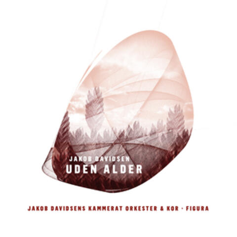 Jakob Davidsen