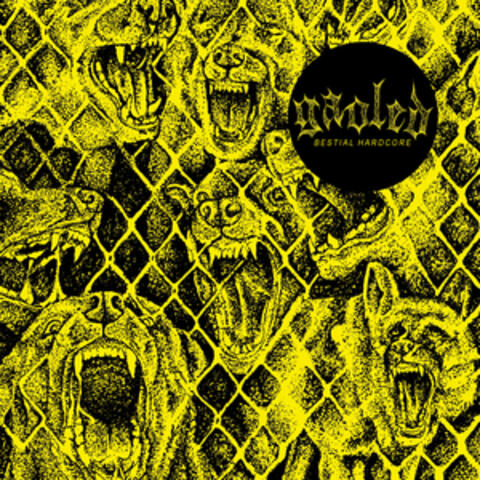 Bestial Hardcore Flexi