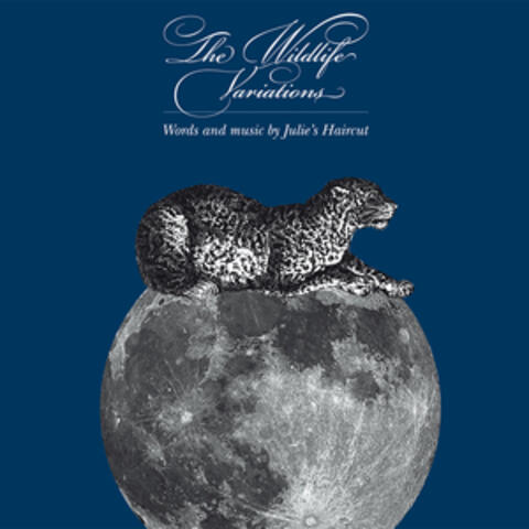 The Wildlife Variations