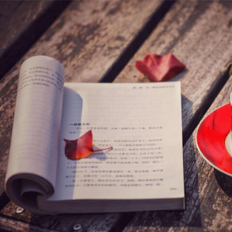 适合学习的轻音乐 治愈减压纯音乐 放松大脑的音乐