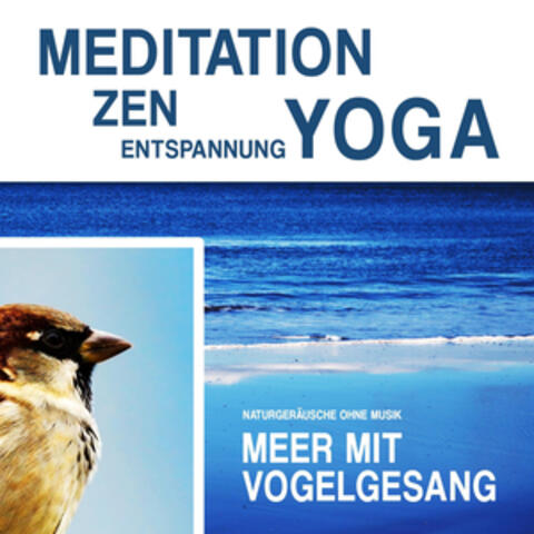 Meditation, Zen, Yoga und Entspannung mit Naturgeräuschen ohne Musik: Meer mit Vogelgesang