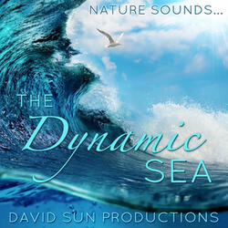 The Dynamic Sea