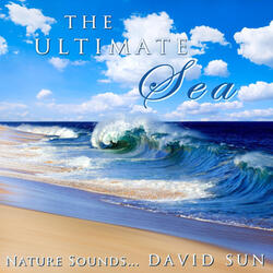 The Ultimate Sea