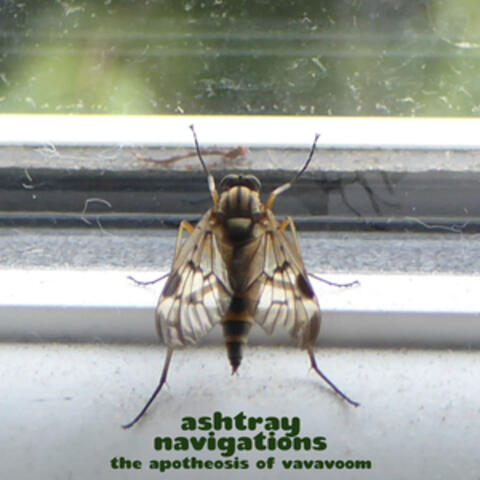 Ashtray Navigations