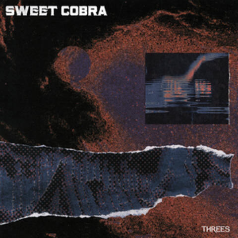 Sweet Cobra