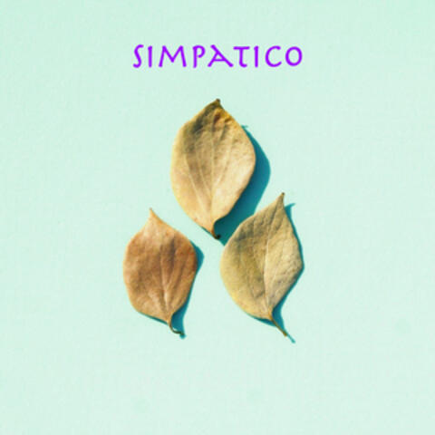 Simpatico
