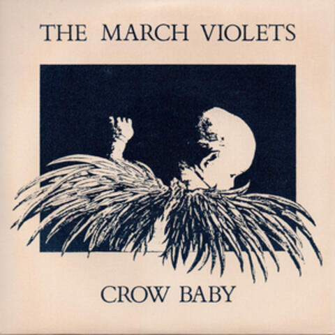 Crow Baby