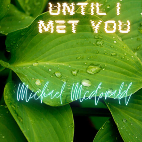 Until I Met You