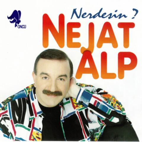 Nerdesin?