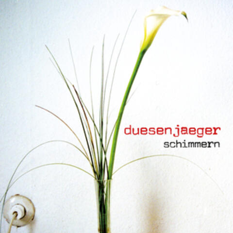 Schimmern
