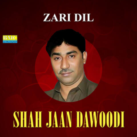 Zari Dil