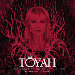Sensational (feat. Robert Fripp)