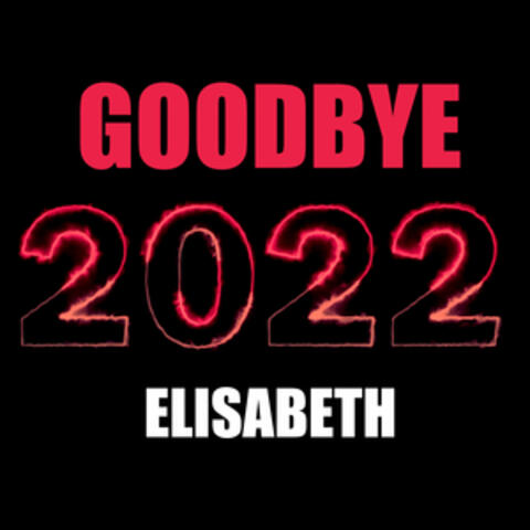 Goodbye 2022