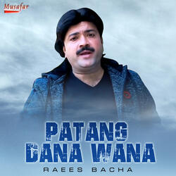 Patang Dana Wana